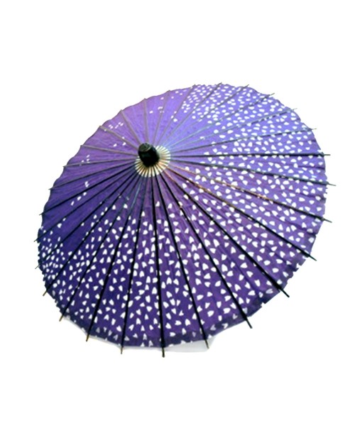 Ombrelli Wagasa (2)